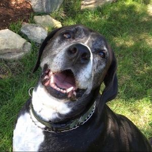 Meet your Posher, Grace